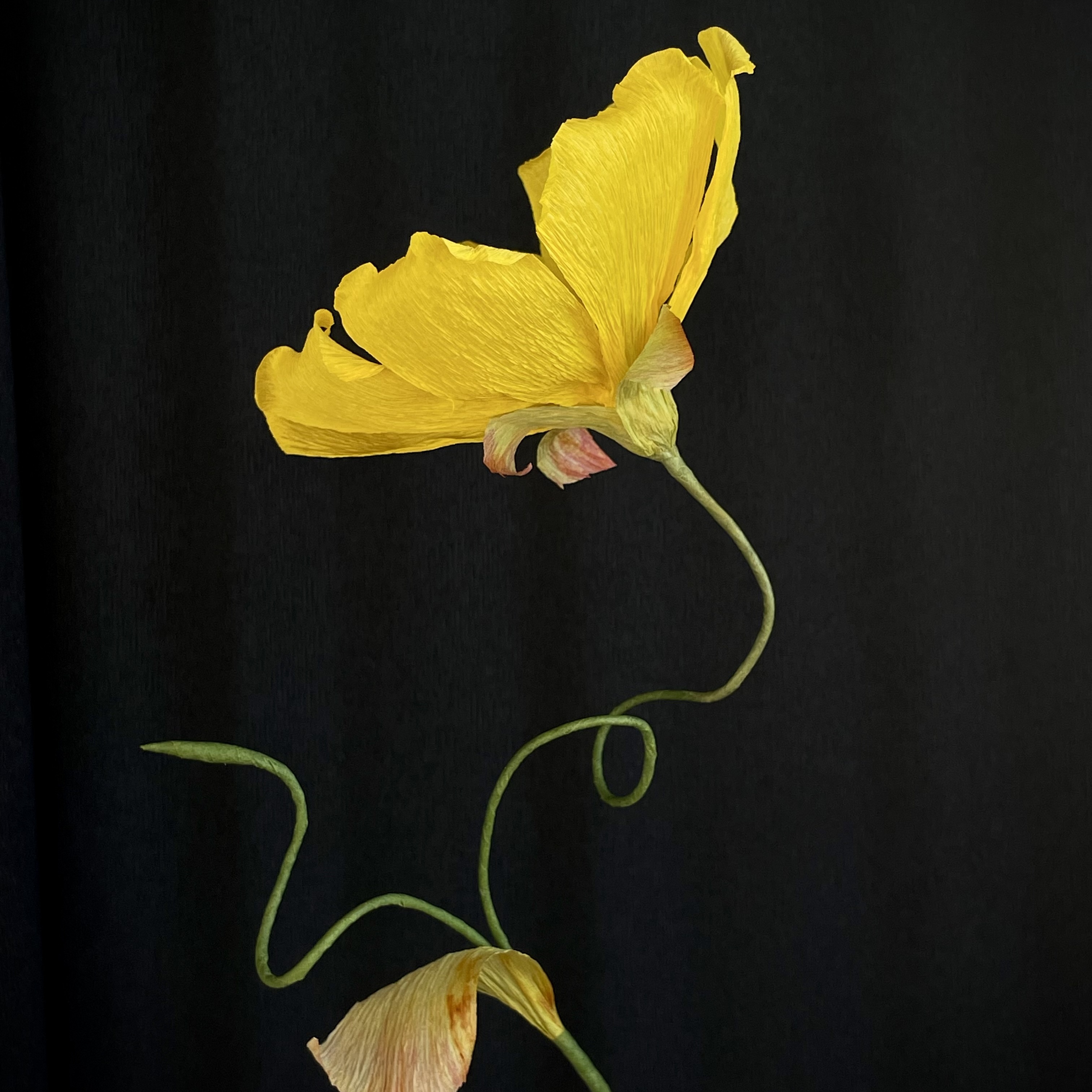 Genomförd: kurs 10/5 – pappersblomster - 3