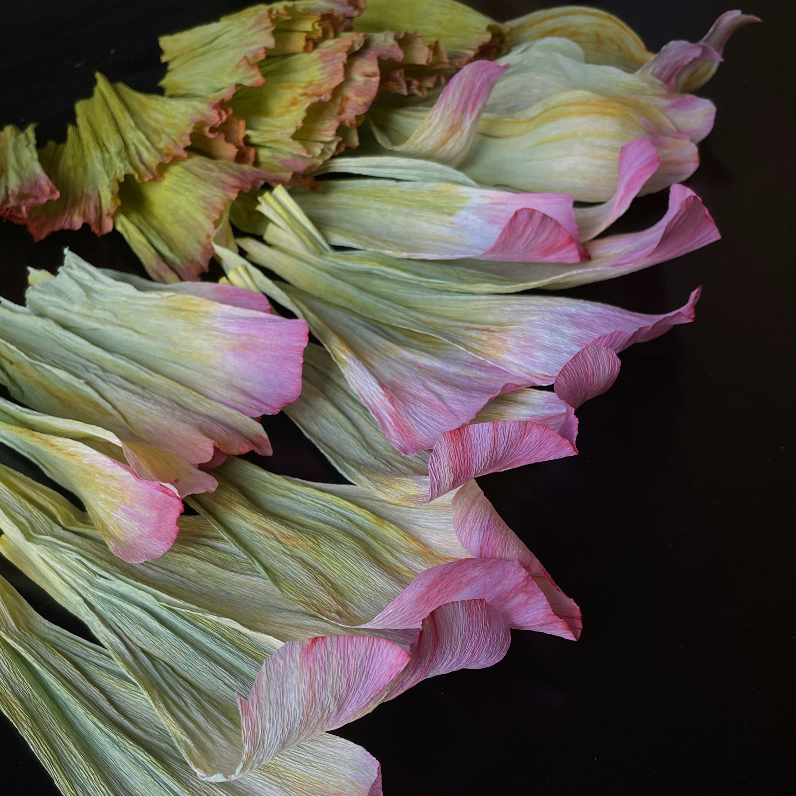 Genomförd: kurs 10/5 – pappersblomster - 8