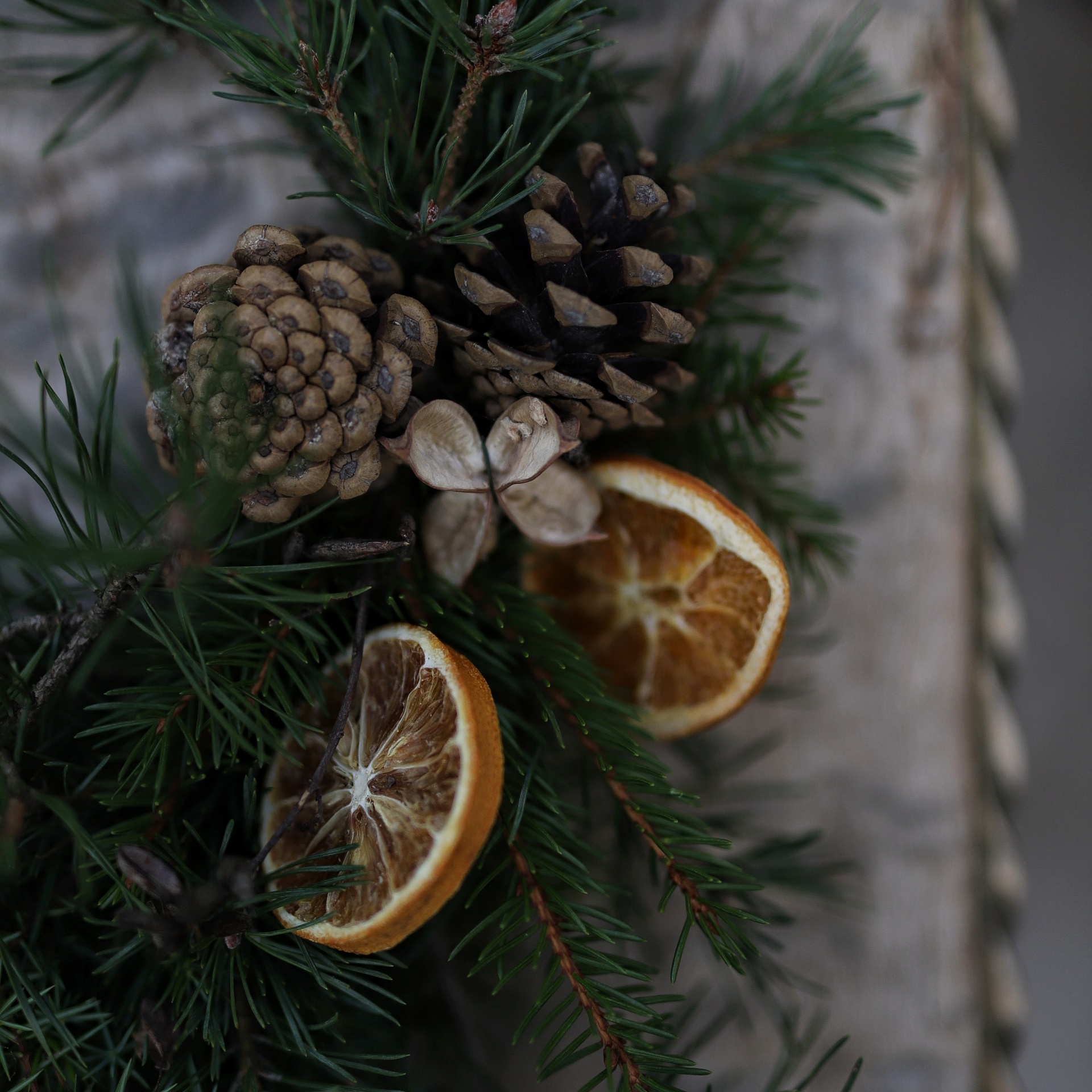 Genomförd: kurs 3/12 – adventskrans