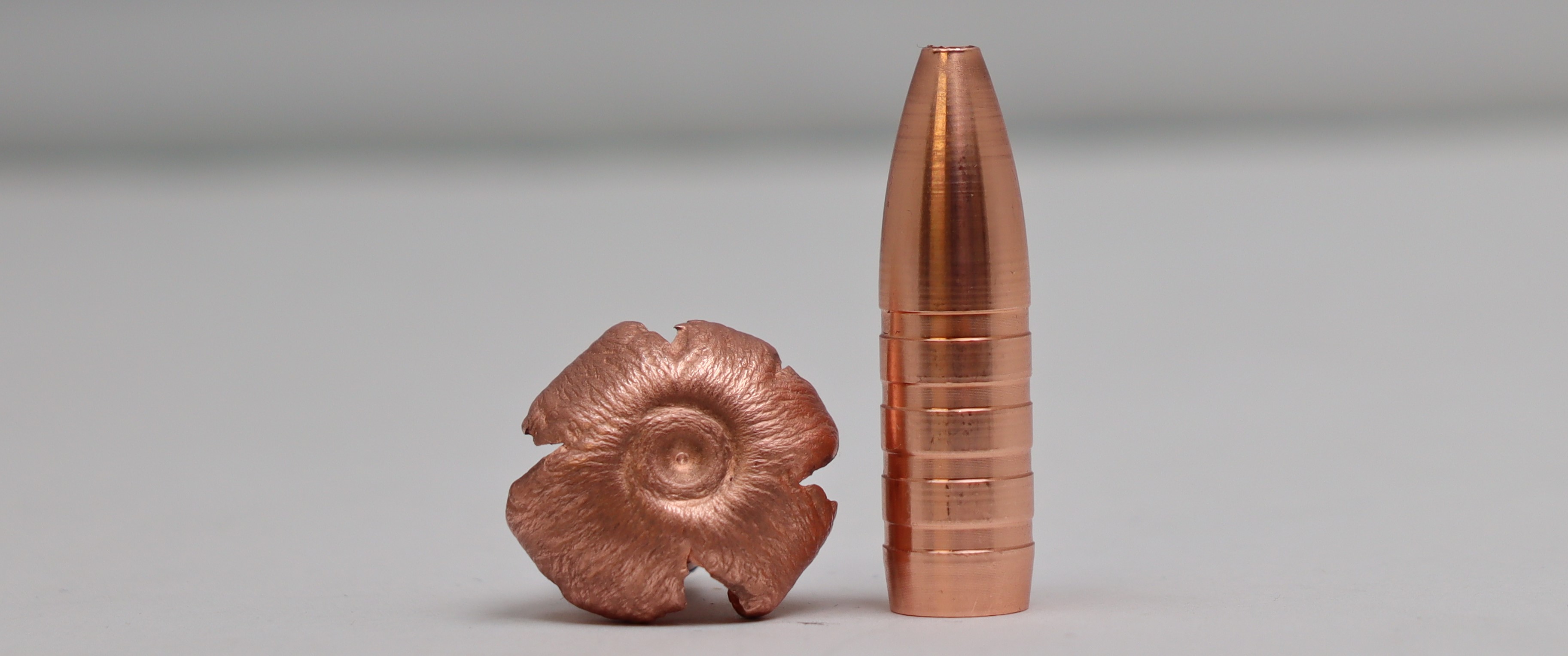 Ammunition CopperBear  375 Holland & Holland Magnum - 5