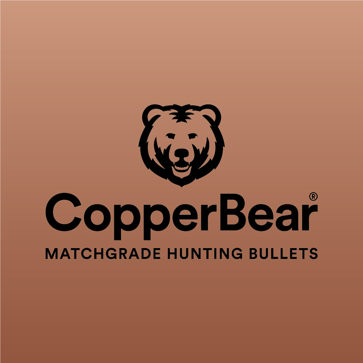 Bullet CopperBear 22 Hornet cal .224