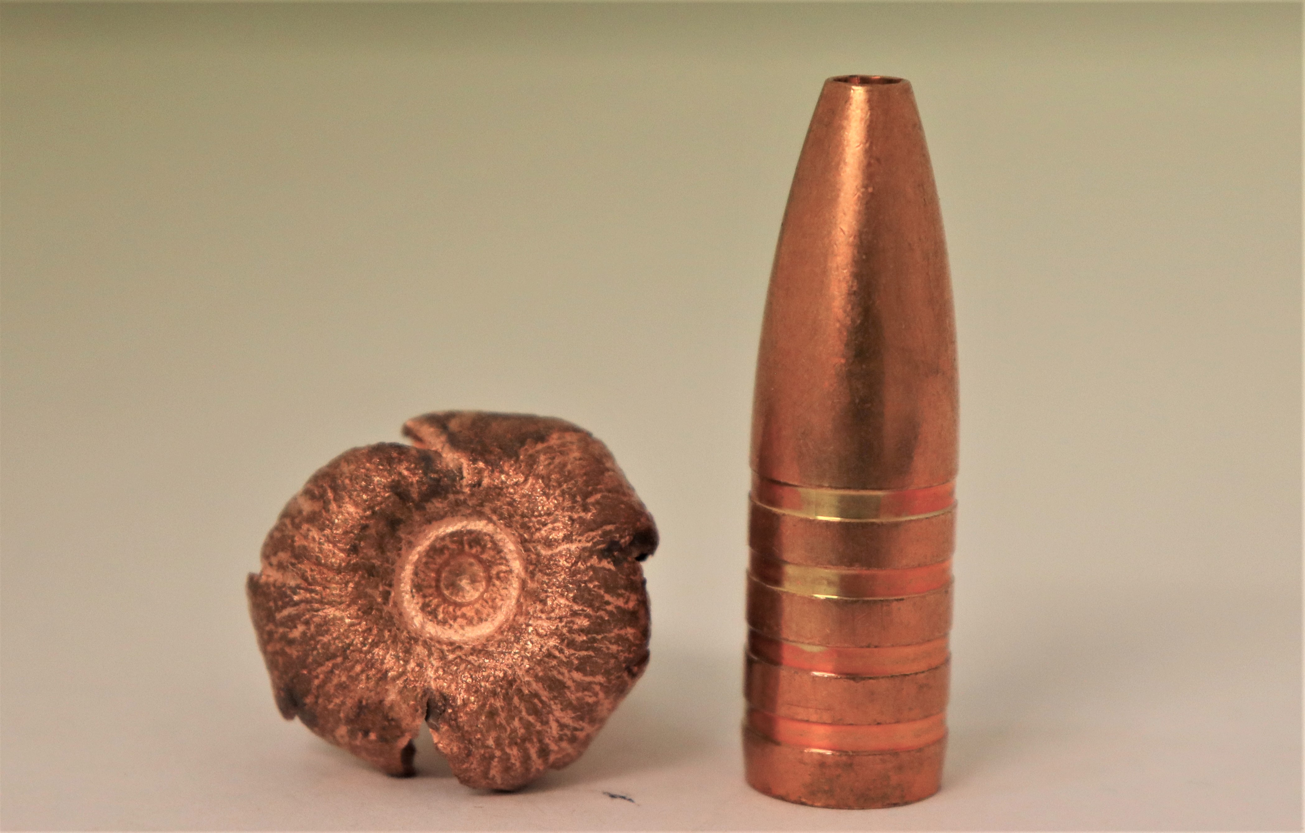 Bullet CopperBear cal .416 - 2