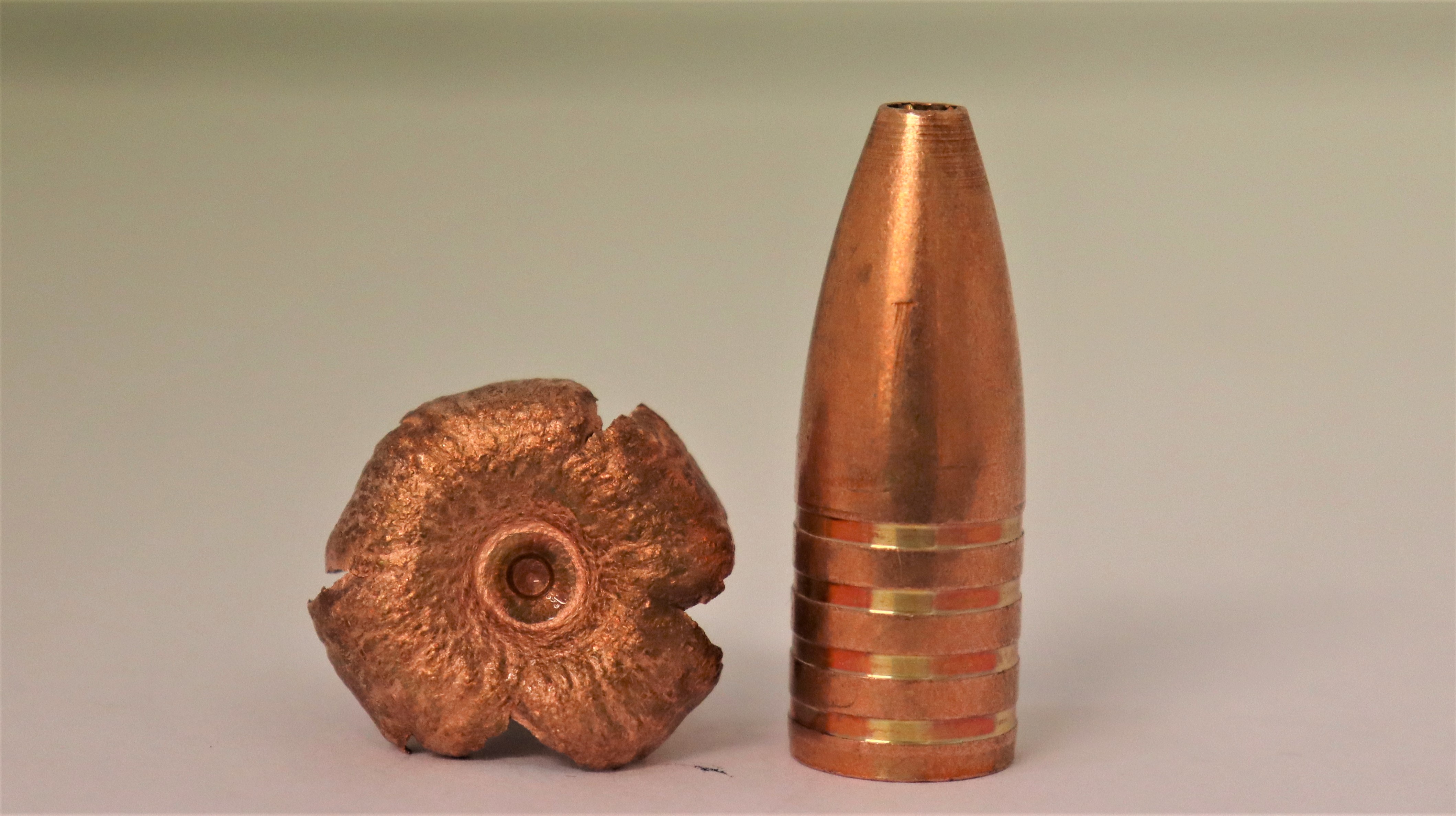 Bullet CopperBear cal .458 - 2