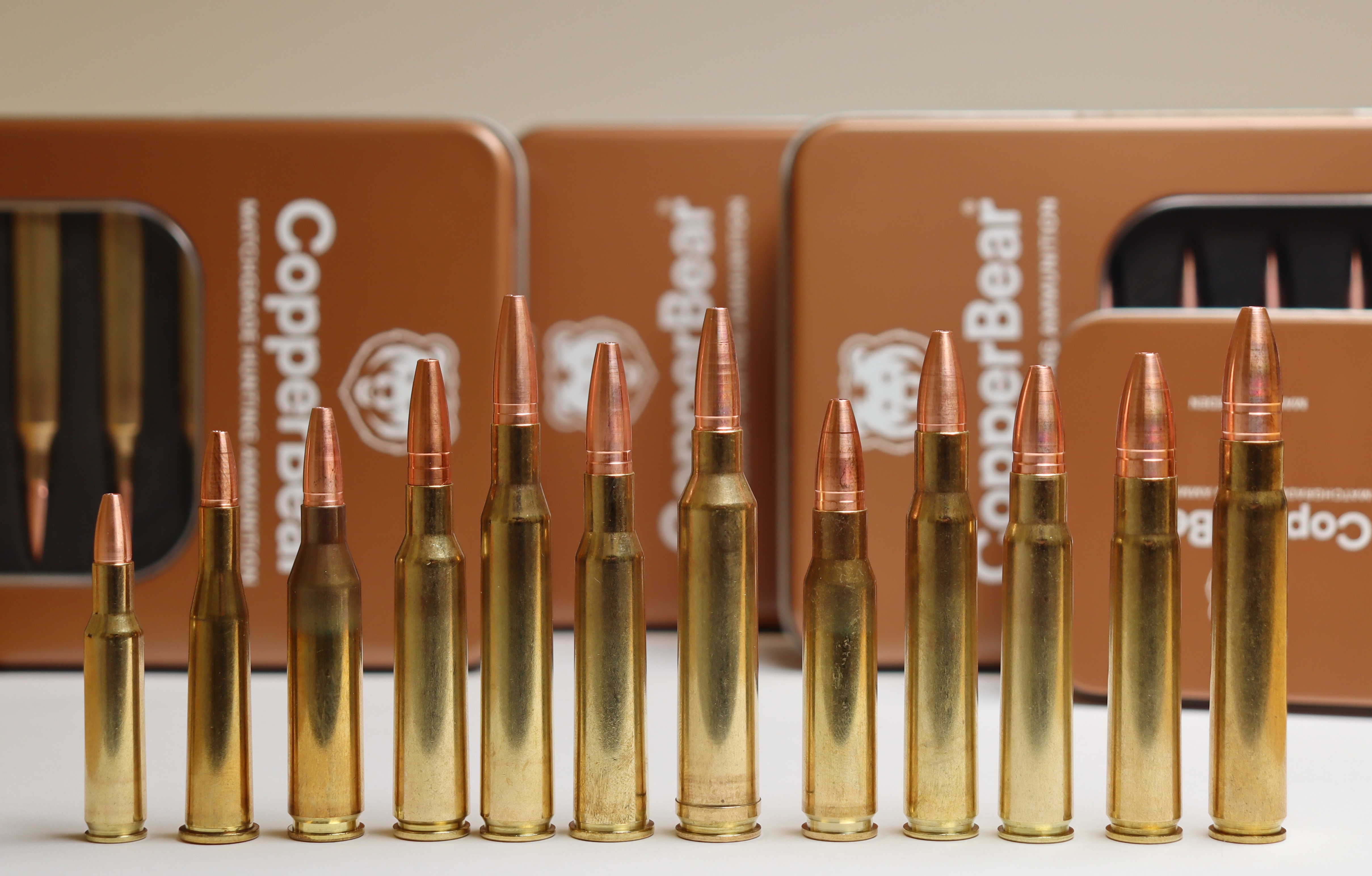 CopperBear Leadfree! Matchgrade Hunting Ammunition