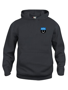 Basic Hoody Junior (RRF)