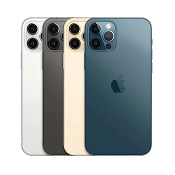 iPhone 12 Pro Max Baksida Byte (Original)