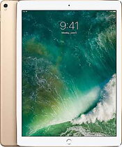 iPad Pro 12.9" (3rd Gen) A2014/A1895/A1876