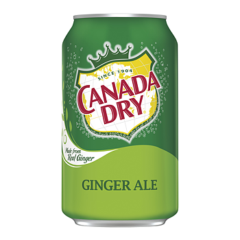 Canada Dry Ginger Ale 355 ml - UK