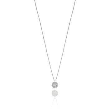 Dragonfly coin neck 42-47 silver