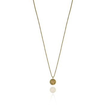 Dragonfly coin neck 42-47 gold
