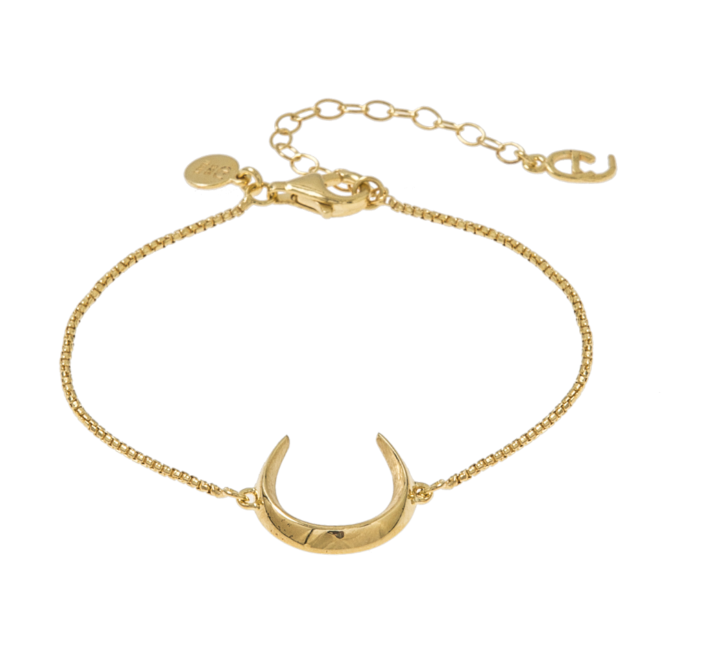 Dream big lucky brace gold