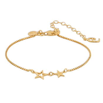 Double star brace gold