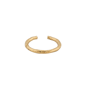 One small ring gold