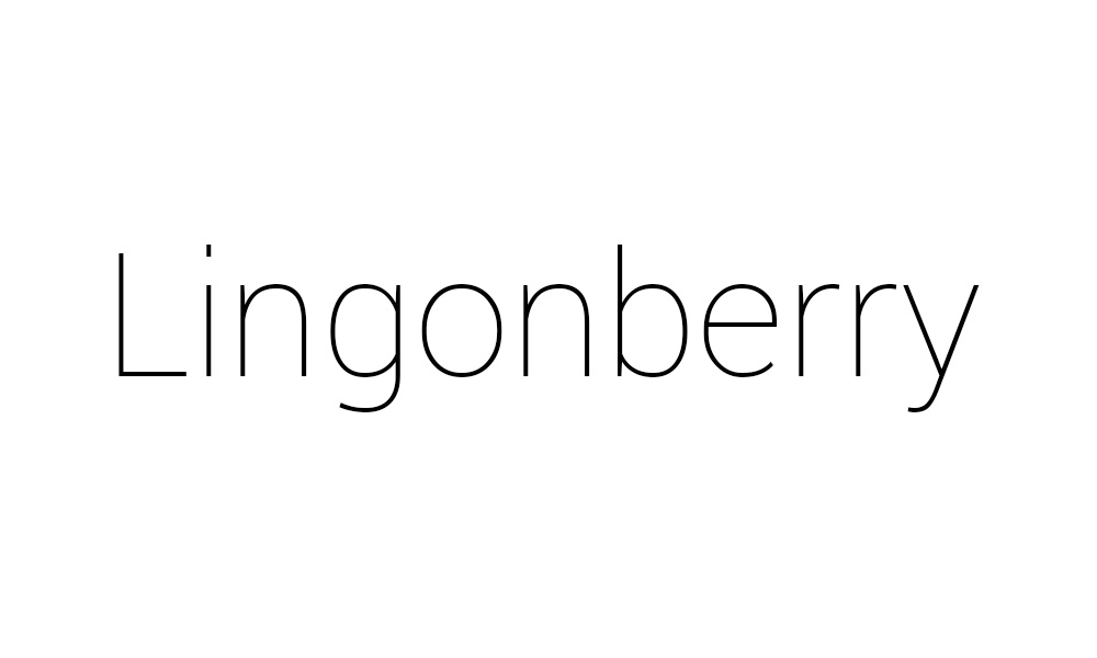 Lingonberry