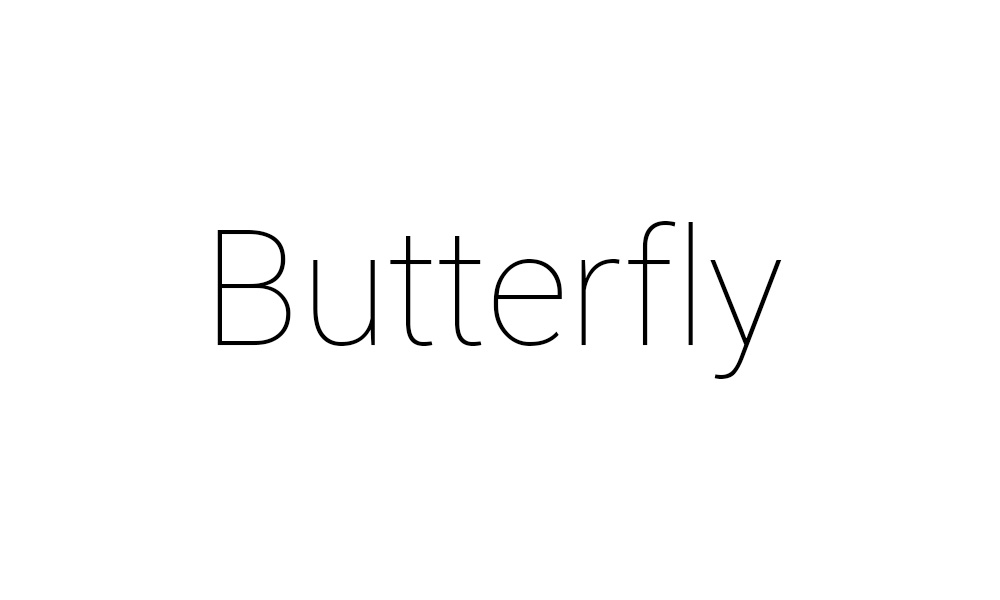 Butterfly