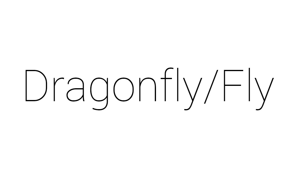 Dragonfly/Fly
