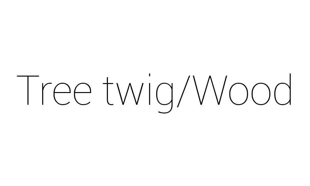 Tree twig/Wood