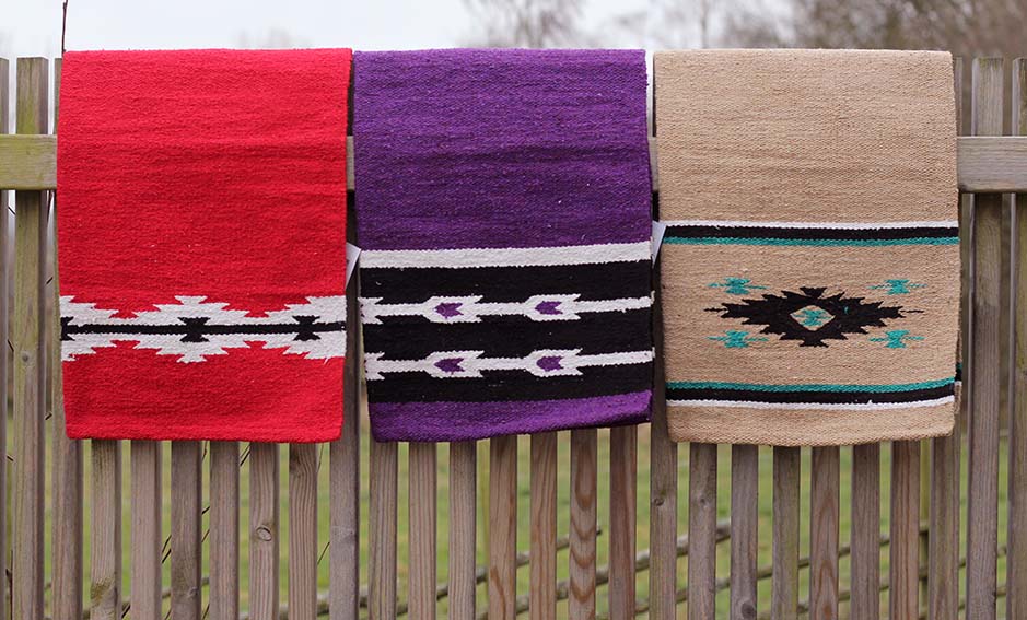 All That Saddle Blanket Pony - 5