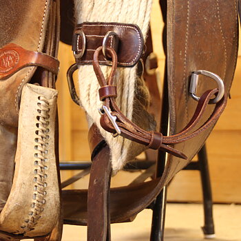All That Cinch Connector