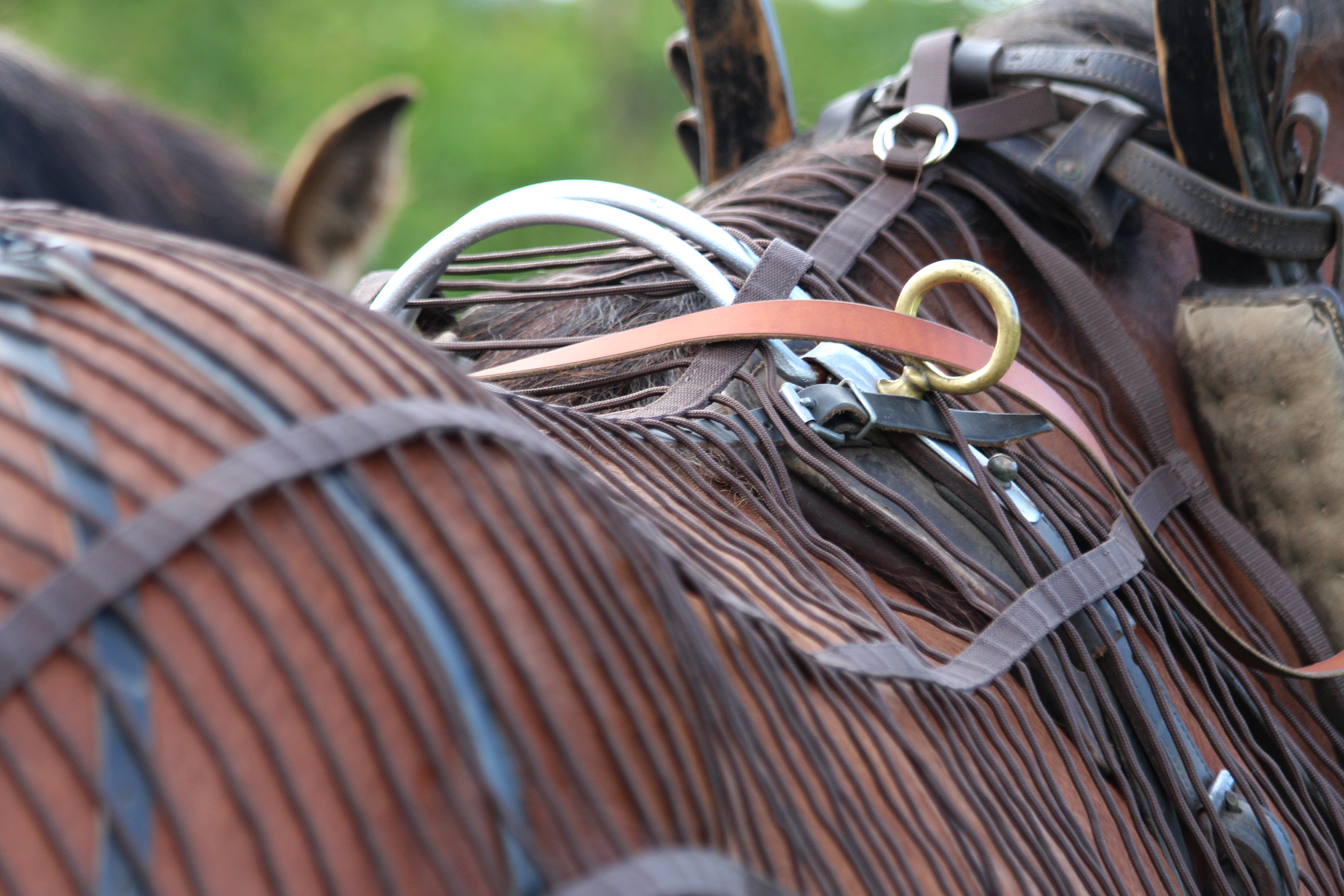 All That Harness Fly Net - 4