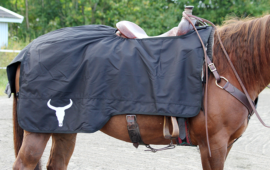 All That Riding Rug- Black - 3