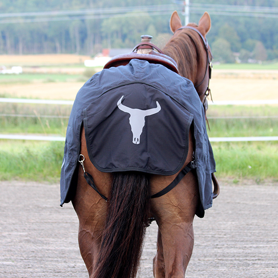 All That Riding Rug- Black - 4