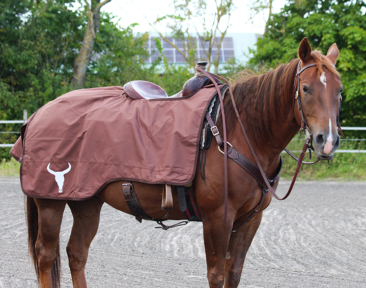 All That Riding Rug- Brown