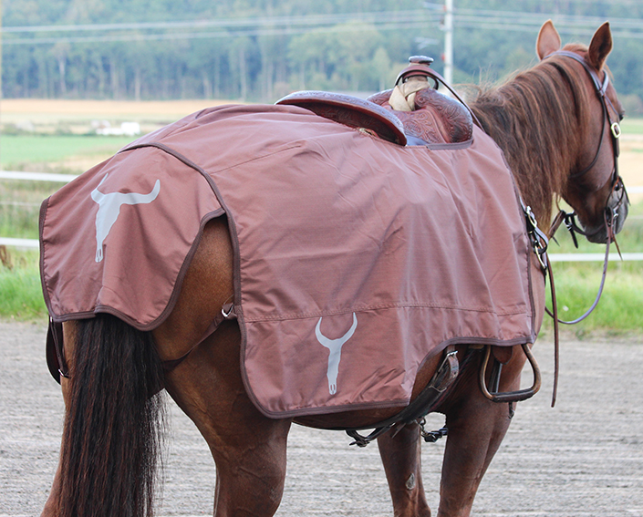 All That Riding Rug- Brown - 3