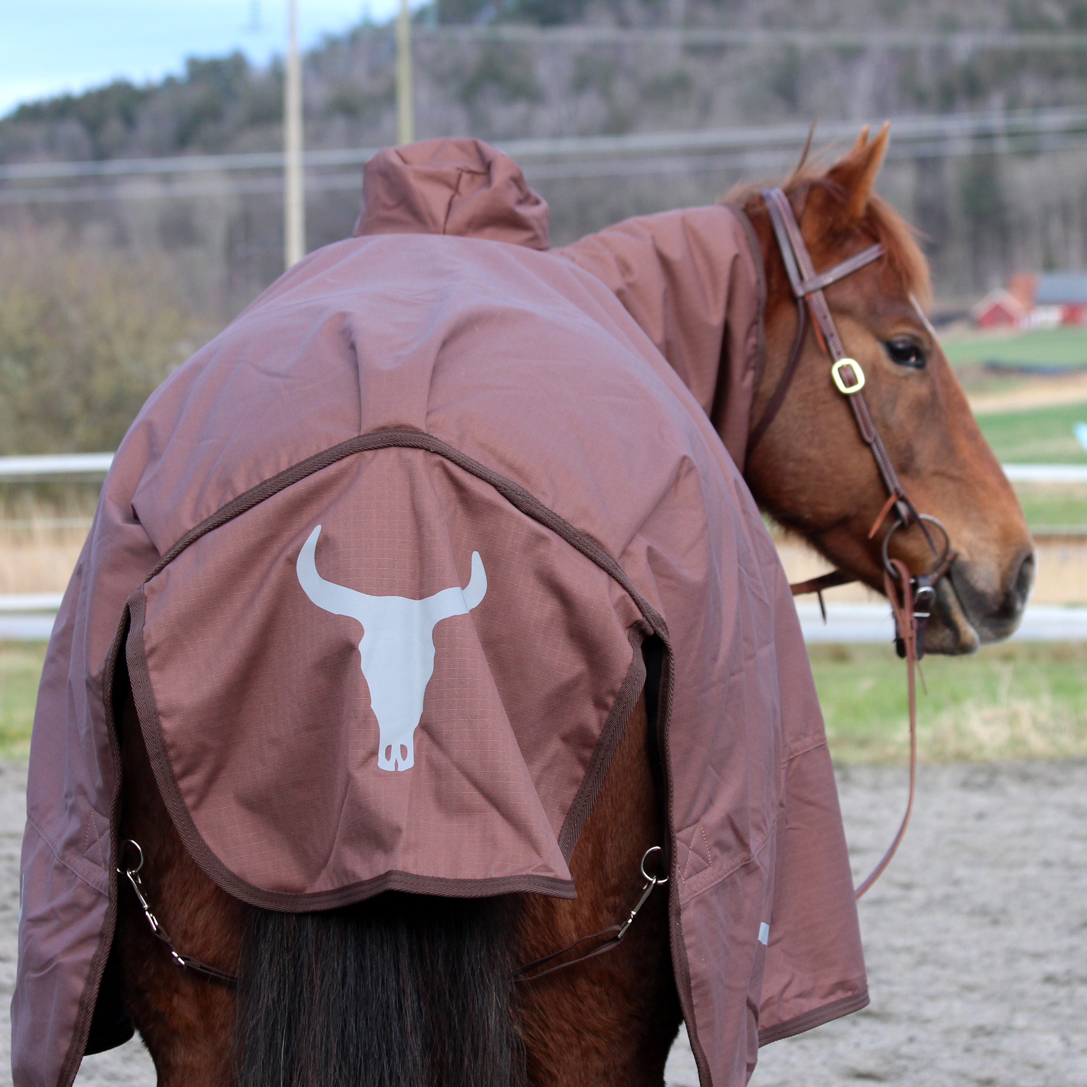 All That Protection Rug - Brown - 2