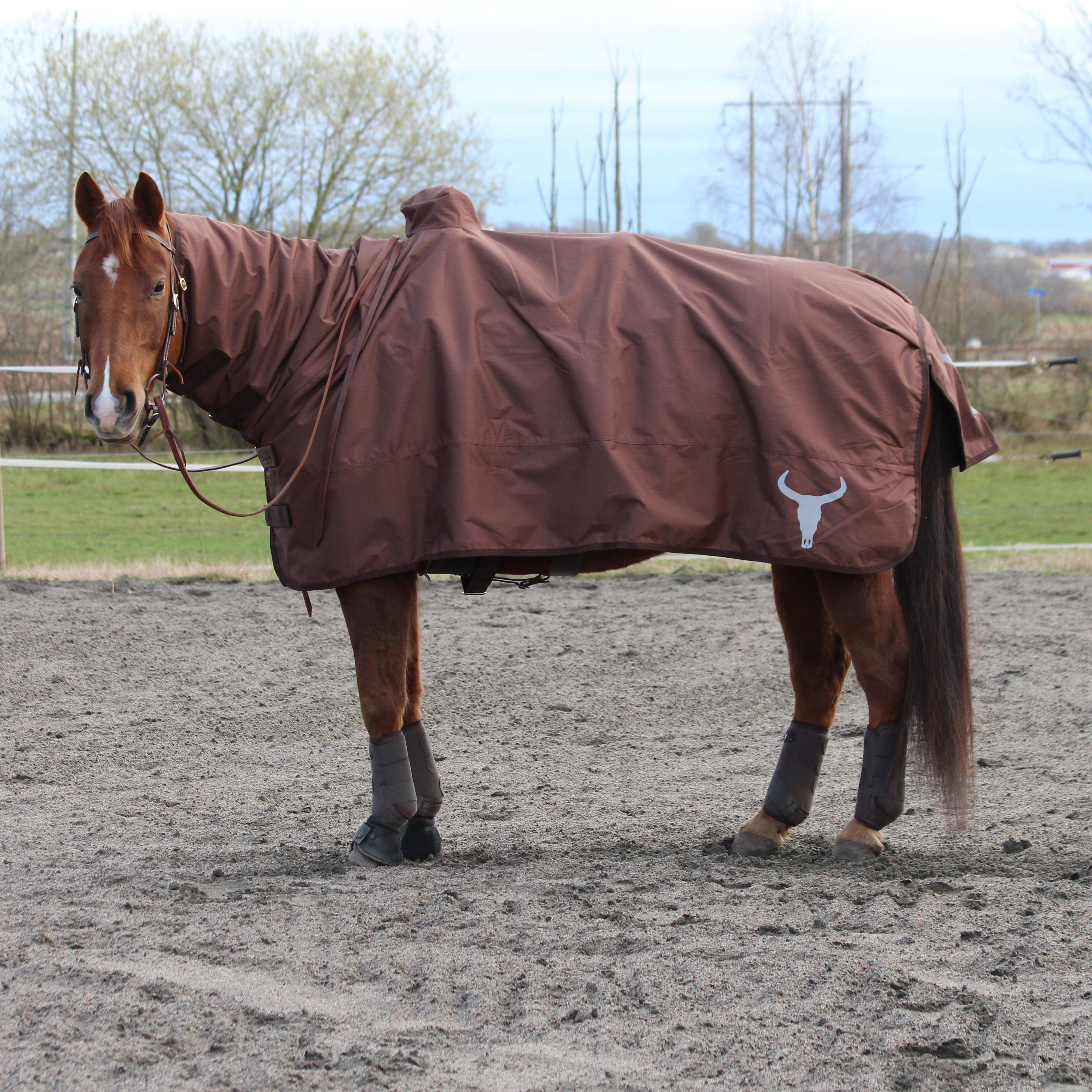All That Protection Rug - Brown