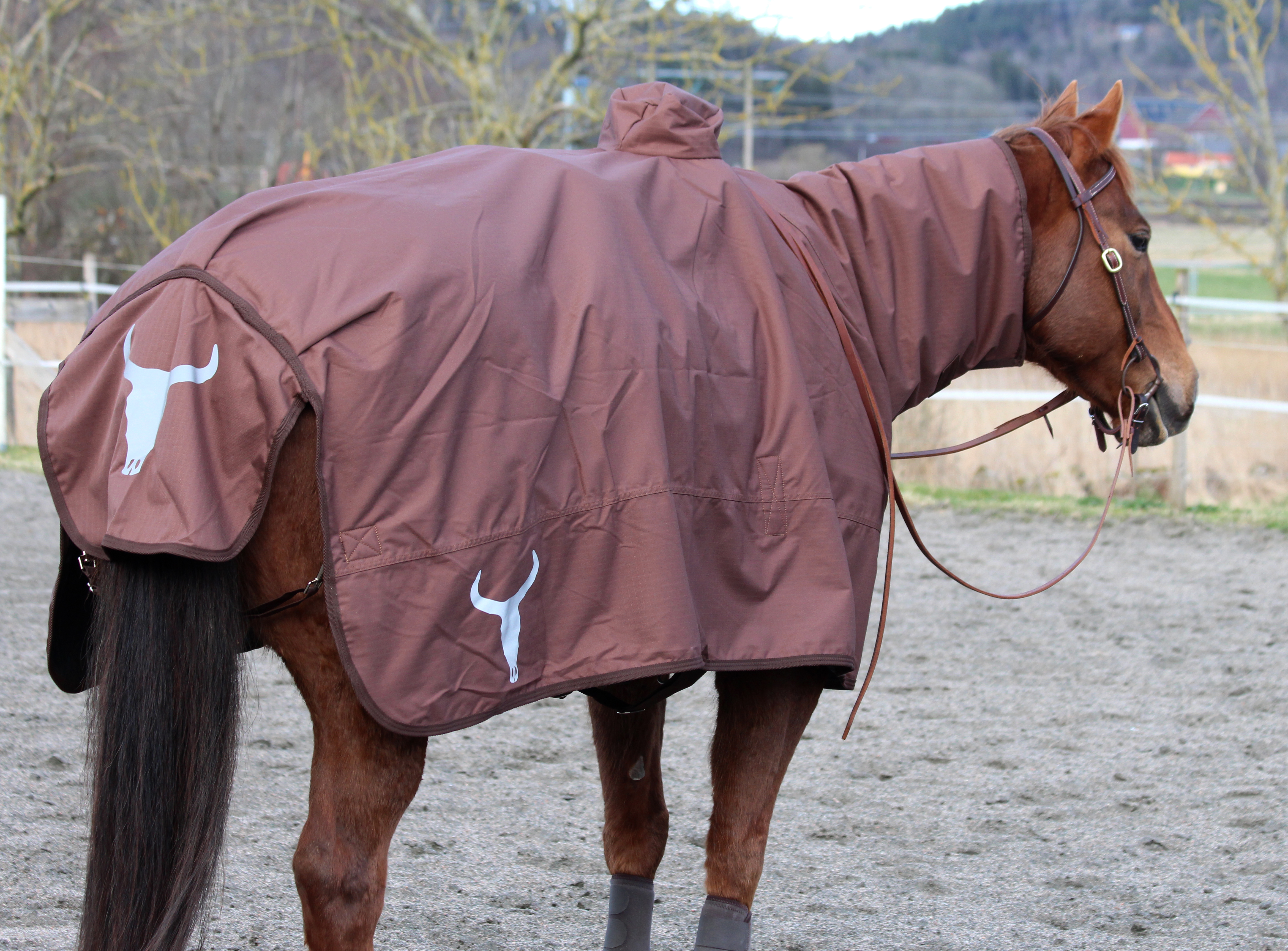 All That Protection Rug - Brown - 4