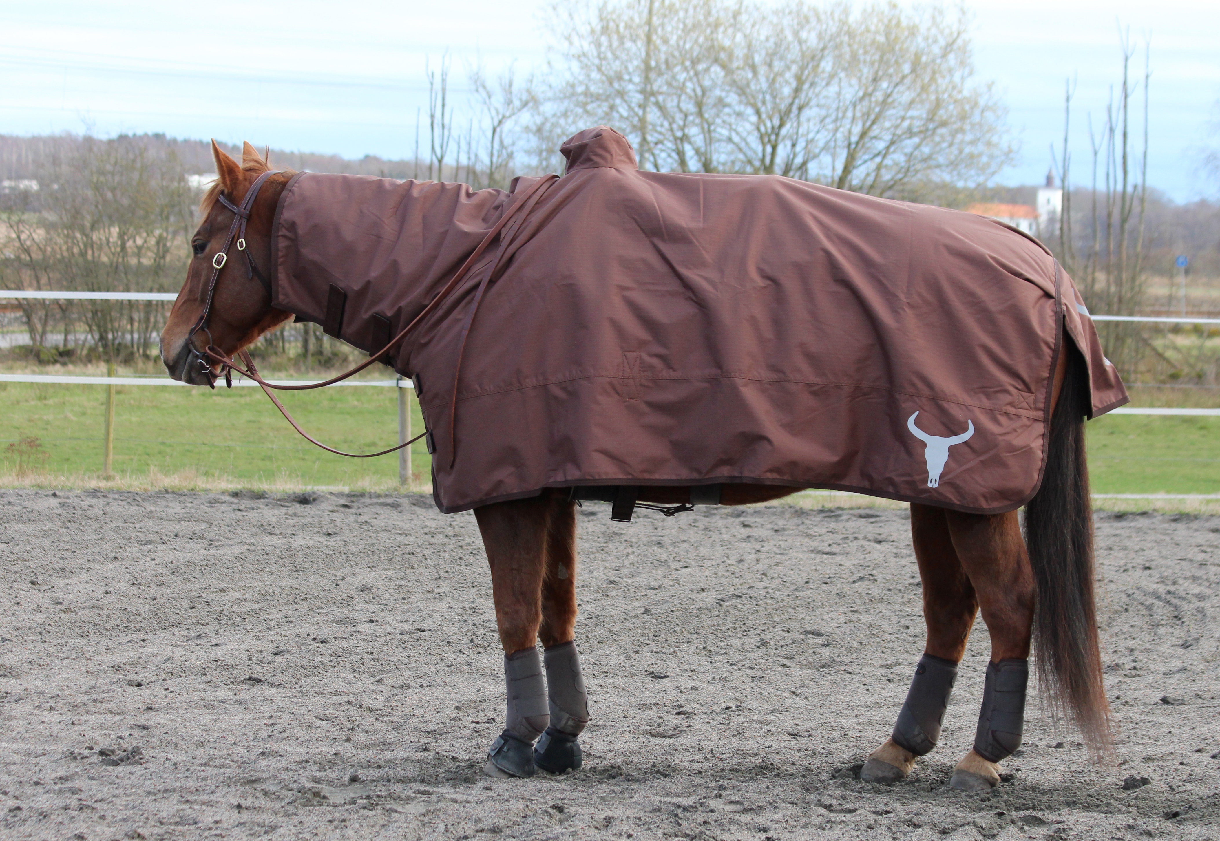 All That Protection Rug - Brown - 5