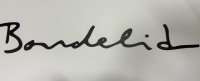 630x300, Bondelid