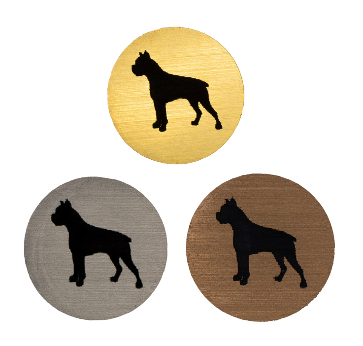 Hund- boxer idrottsmotiv