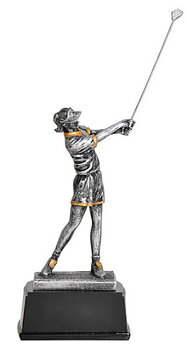 Statyett golfswing dam