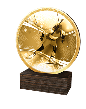 Statyett längdskidåkning