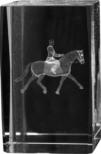 Dressyr 3D-glas