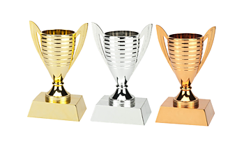 Pokal Bern