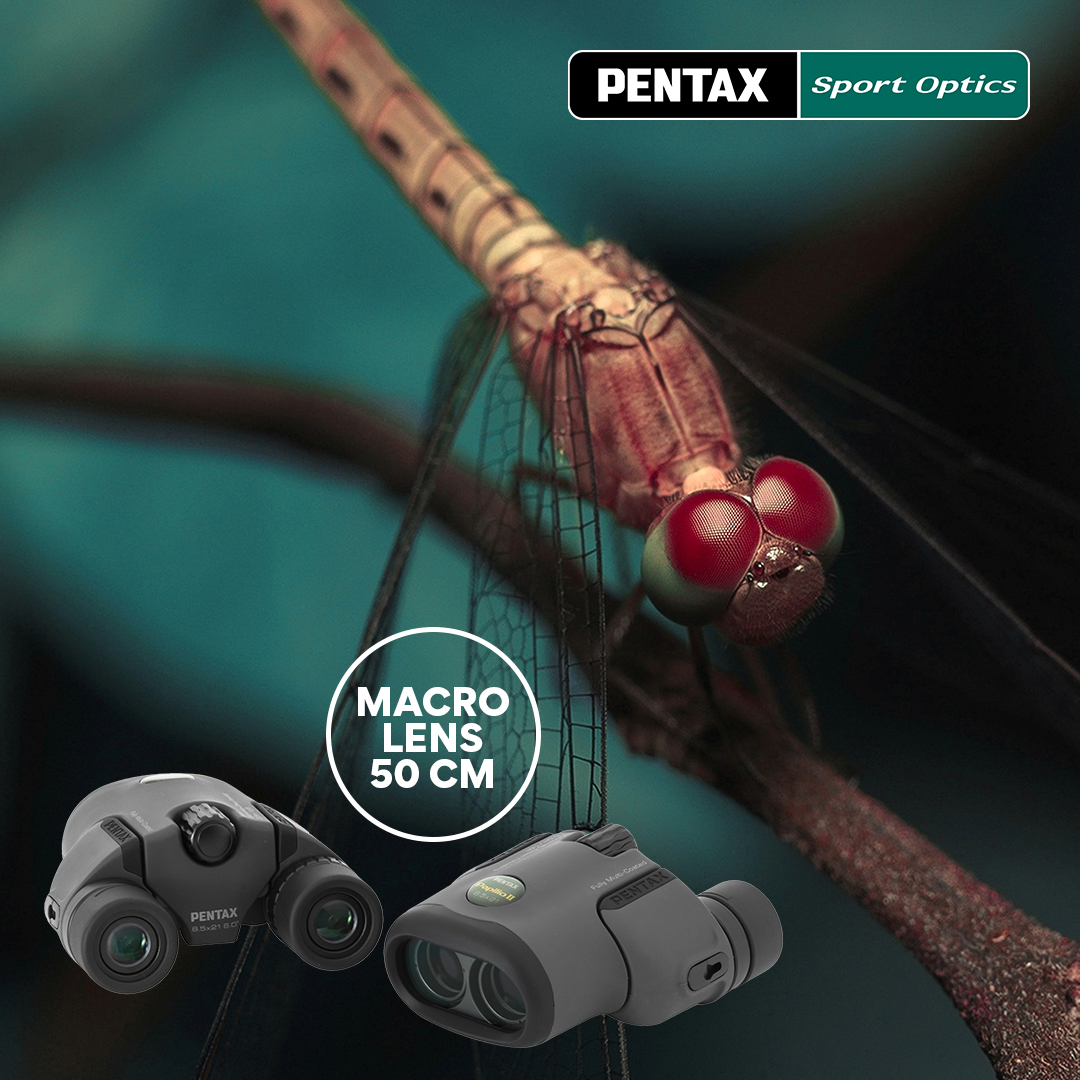 Pentax  Papilio II 8,5x21