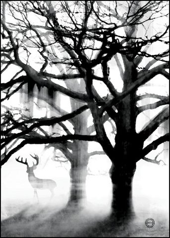 TREE BLACK