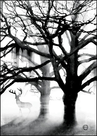 TREE BLACK