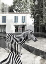 STRIPES