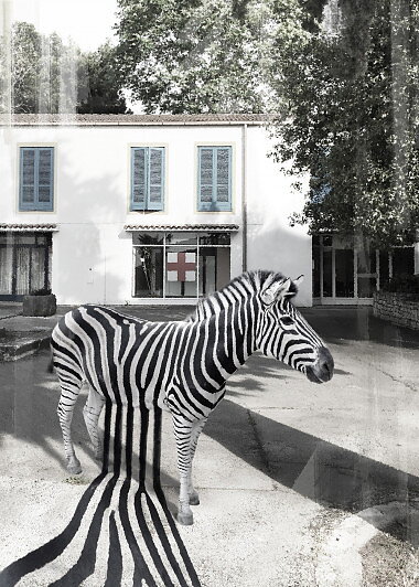 STRIPES