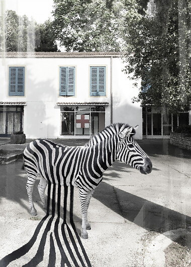 STRIPES