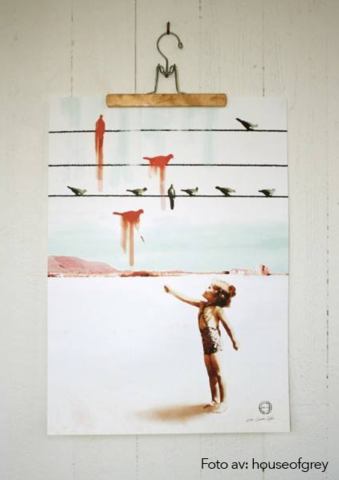 BIRDS