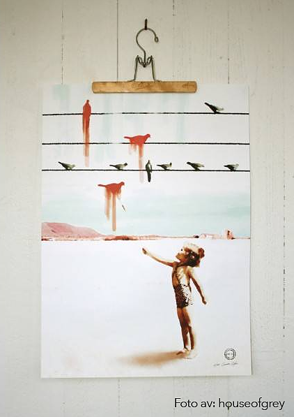 BIRDS