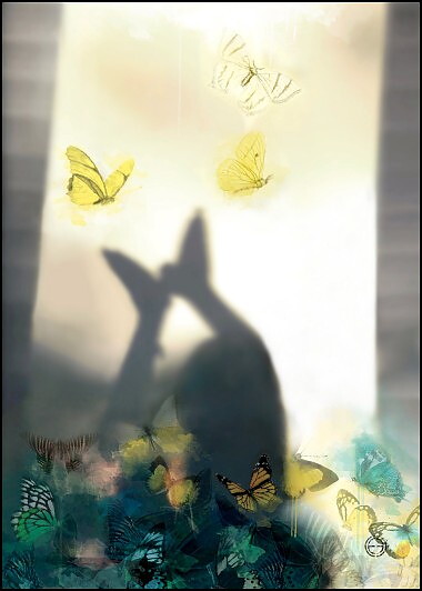 BUTTERFLYSHADOW