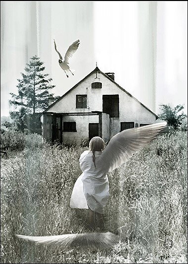 DREAM