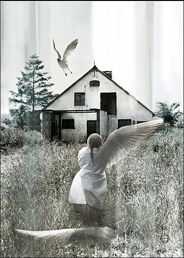 DREAM