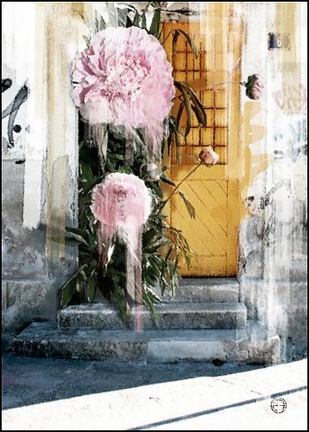 HOME